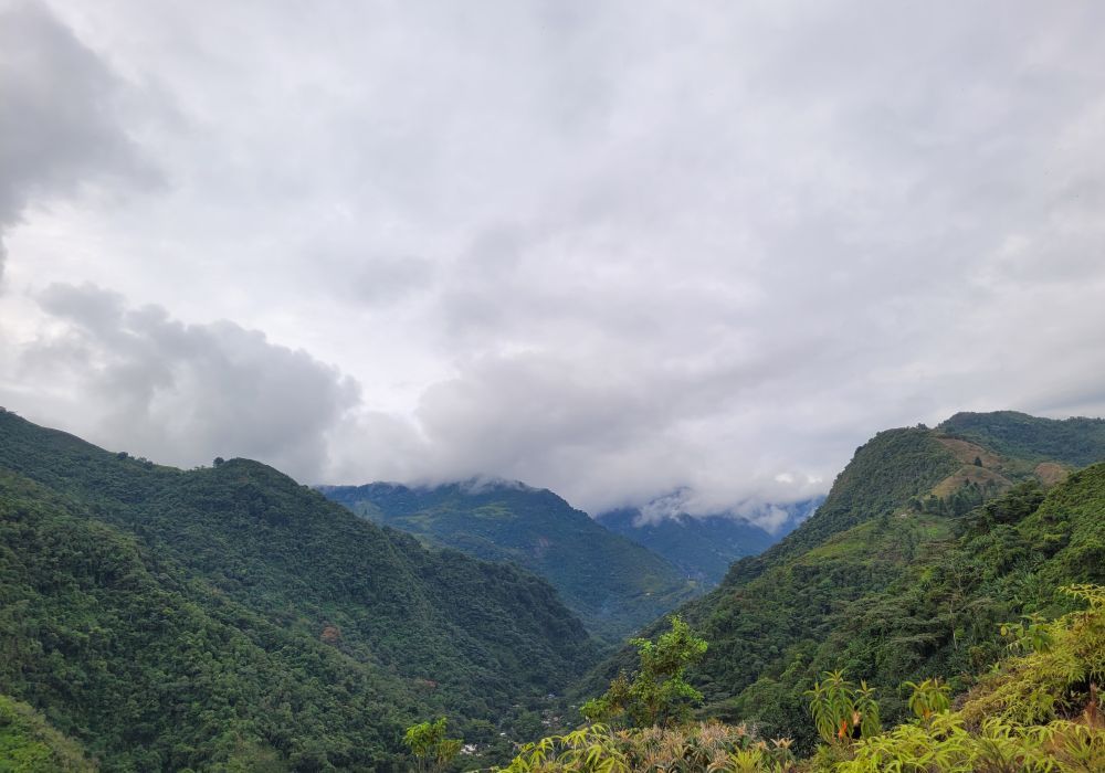 Memento mori 1/25 - La carta de suicidio más extraña