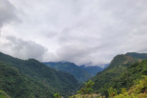 Memento mori 1/25 - La carta de suicidio más extraña